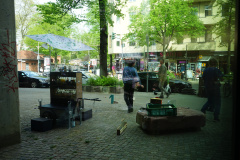 DSC03904